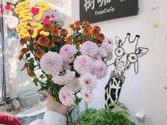 -树咖啡tree coffee