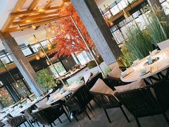 -拈菜(观音桥阳光世纪店)