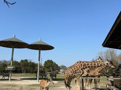 -宁波野生动物园
