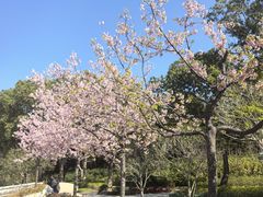 -新江湾城公园