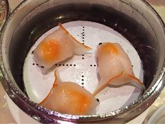 8餐厅-8餐厅(新葡京酒店)