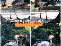 -广州动物园