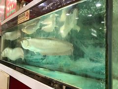 -文辉墨鱼丸大王(铜锣湾渣甸街总店)