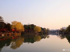 -青枫公园