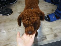 -FIGHTMAN格斗俱乐部(长宁临空店)
