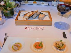 -蝶舍·MAISON PAPILLON