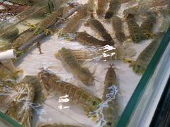 -鲤鱼门海鲜街