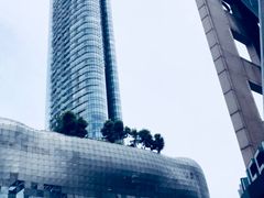 -爱雍·乌节