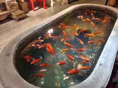 -黄家码头老火锅(解放碑旗舰店)