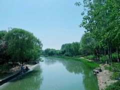 -大兴滨河森林公园