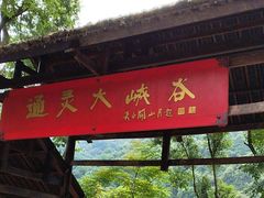 -通灵大峡谷