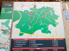 -火炉山森林公园