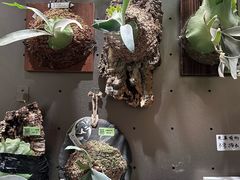 -瑞虹新天地月亮湾