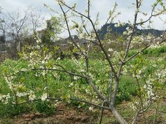 -金堂县云顶石城风景区
