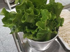 -古乐牛香·鲜牛肉牛杂火锅(新区店)