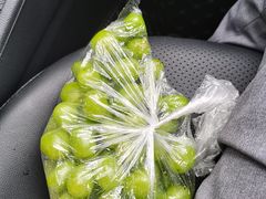 -虎头局·渣打饼行(五一新干线店)