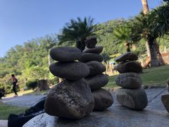-深圳仙湖植物园