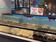 -遇上西雅图多融合海鲜自助餐厅(中房金谊广场店)