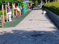 -金鸡岭桥头公园