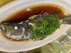 -台山美食一绝阿四台山黄鳝饭(阿四创作店)