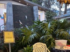 -瑞丰园庭院餐厅·白族传统家常菜