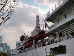 -上海港国际客运中心1号游艇码头