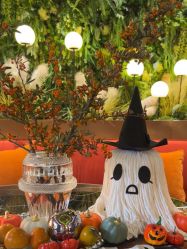 -花隐·美芙炫海菲秀皮肤管理中心