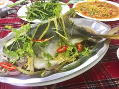 -QQ海鲜餐厅