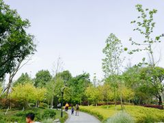 -成飞公园
