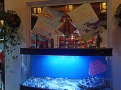 -东家小院金汤酸菜鱼(南阳路店)