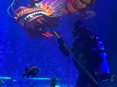 -沈阳海洋探索中心