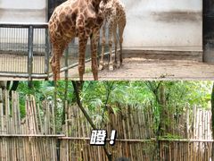 -杭州动物园