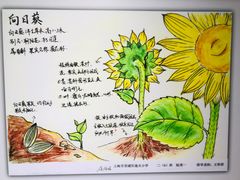 -上海昆虫博物馆