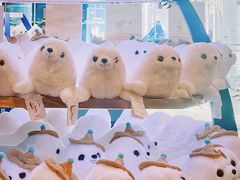 -上海海洋水族馆