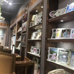 -巴黎春天婚纱摄影