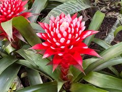 -北京植物园-展览温室