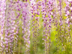 -北京京宝行宝马4S店(闵庄路店)