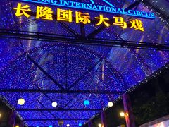 -广州长隆国际大马戏