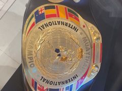 -花环泰拳·勒德斯拉泰拳馆(静安店)