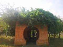 -龙寺生态园