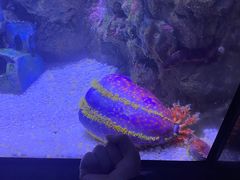 -成都浩海立方海洋公园