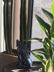 -Priscilla皮肤管理中心