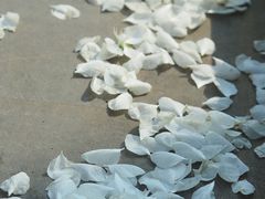 -护国法轮寺