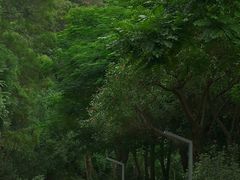 -狐尾山公园