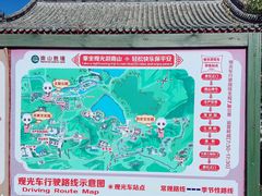 -龙口南山旅游景区