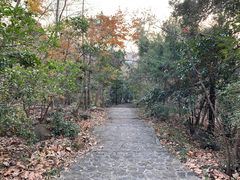 -灵谷景区