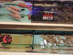 -宜宾海鲜酒家·三十年老字号