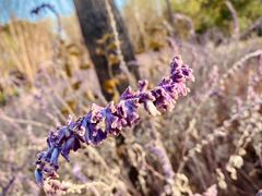 -昆山城市生态森林公园