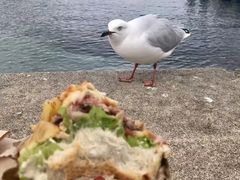 -Fergburger(皇后镇店)