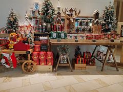 -丽思卡尔顿酒店泳池(金融街店)